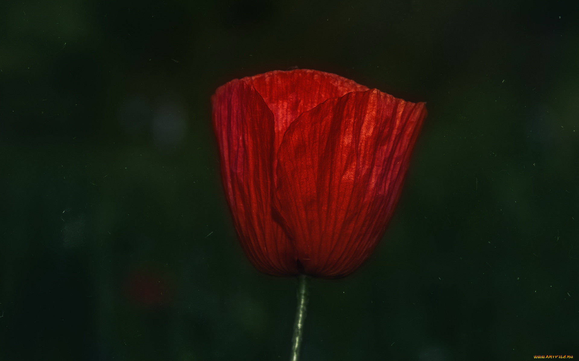 , , 